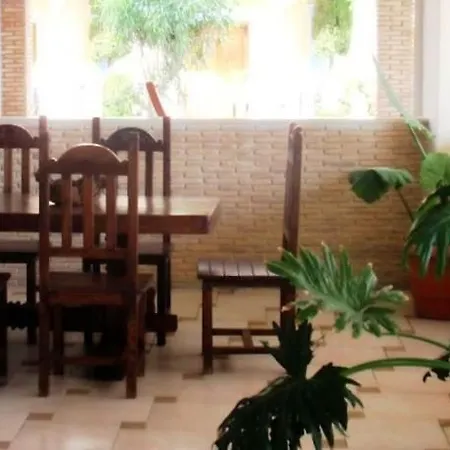 Plaza Pallas 4* Tsilivi (Zakynthos)